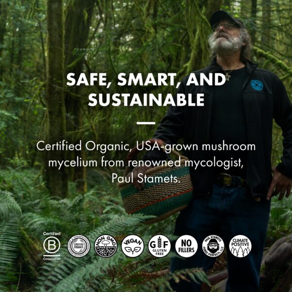 Suplemento herbal con micelio de hongo certificado