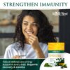 Detalle de tabletas de espirulina pura micronizada Sunlit Best