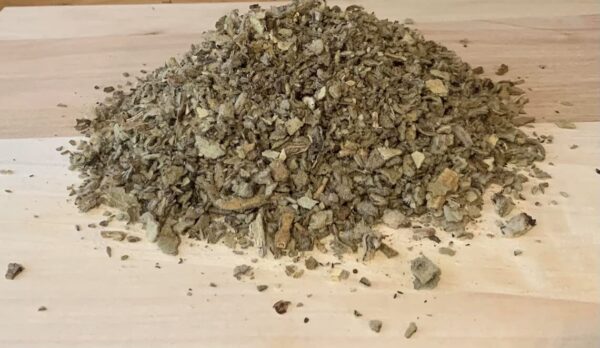 Detalle de té de hoja de gordolobo en infusión natural