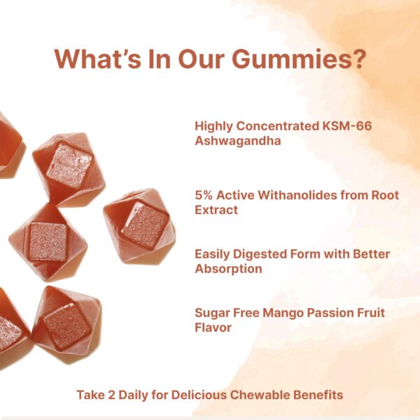 Version 1.0.0 Embalaje del paquete de 2