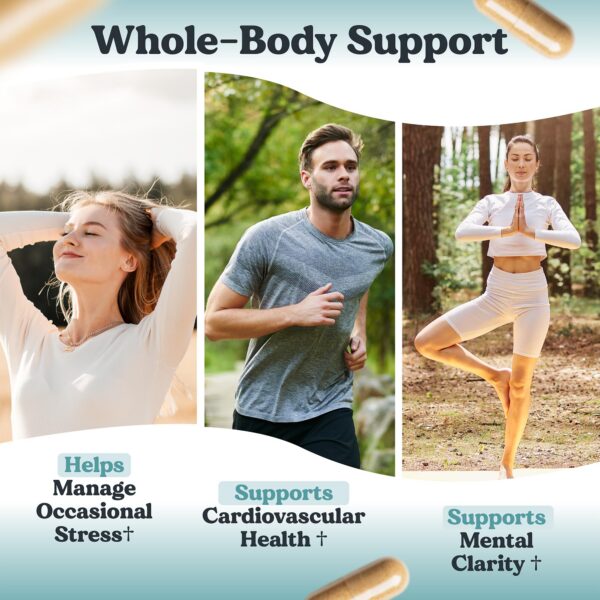 Detalles de etiqueta y composición