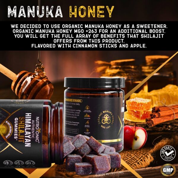 Detalles ingredientes gominolas Shilajit NutroTonic orgánicas