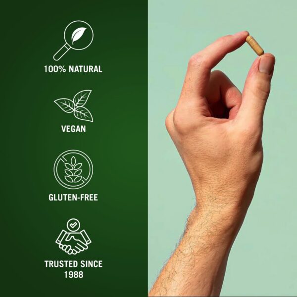 Version 1.0.0 detox cápsulas vegetarianas The Cleaner