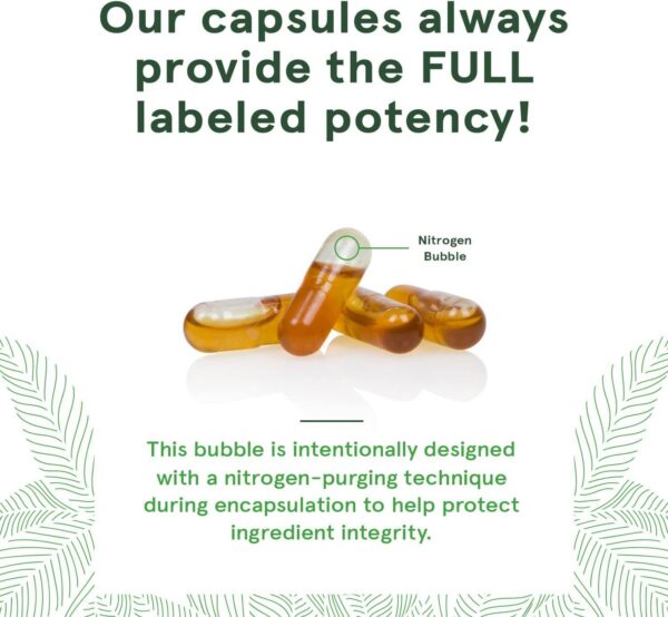 Version 1.0.0 Cierre de seguridad del envase