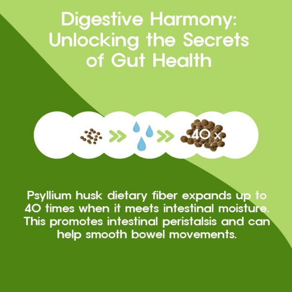 Digestive health psyllium coleus forskohlii collagen supplement 30 pk