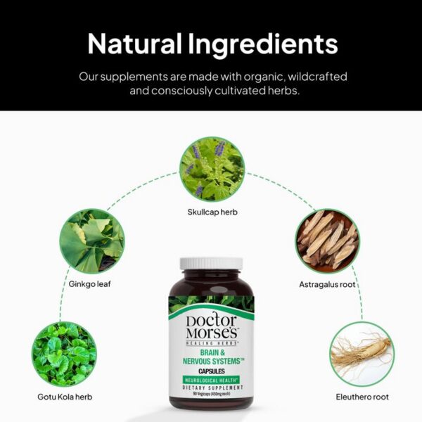 Version 1.0.0 Suplemento Doctor Morse's apoyo nervios y memoria 90 cápsulas