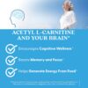 Empaque y caja de Acetyl-L-Carnitine Doctors Best