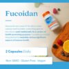 Version 1.0.0 Detalle de ingredientes Fucoidan