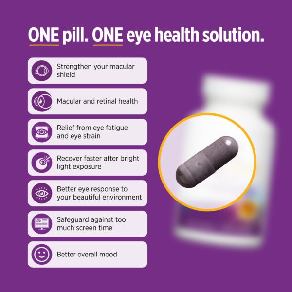 Interior de la caja de OcuGold