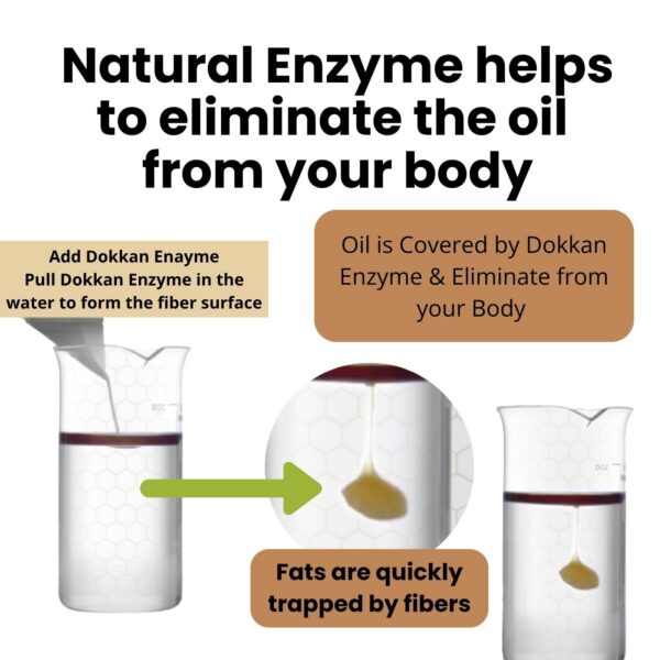 Frente de caja Dokkanaburadas