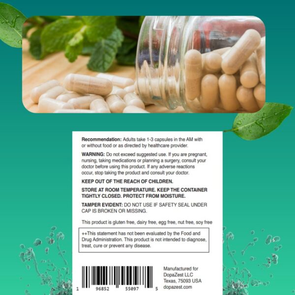 Version 1.0.0 DopaZest cápsulas para enfoque mental y salud cerebral