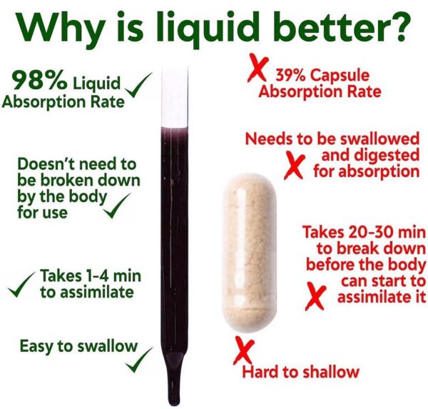 Dosis fáciles de gotas de clorofila líquida HBI LABS