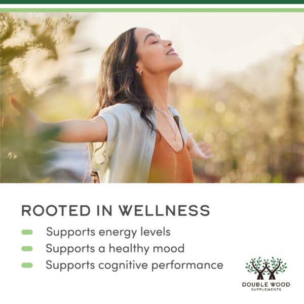 Version 1.0.0 Vista lateral de la caja