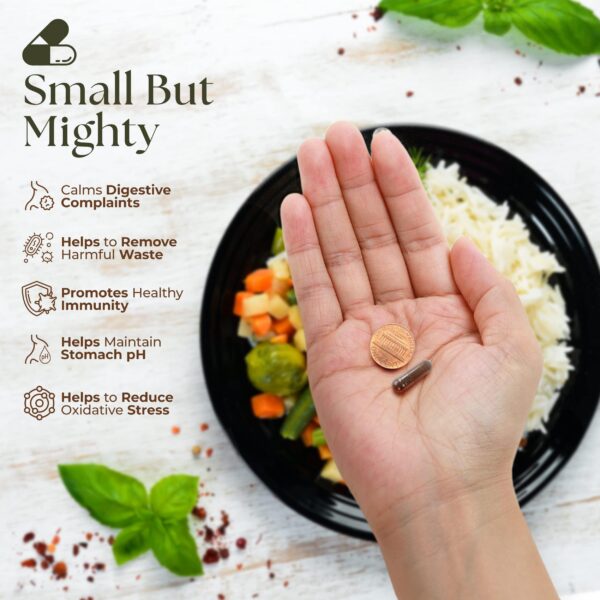 Envase de Dr Clark Store Clavos Vegetarianos