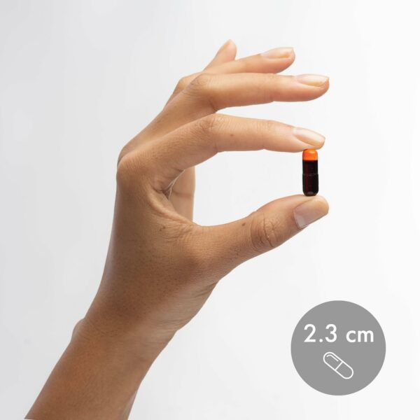 Version 1.0.0 Caja o empaque