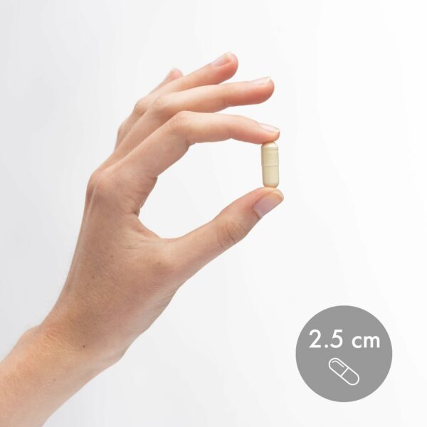 Version 1.0.0 Cápsulas listas para tomar