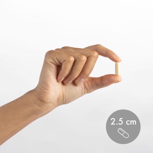 Instrucciones y certificado calidad Dr. Mercola Complejo B