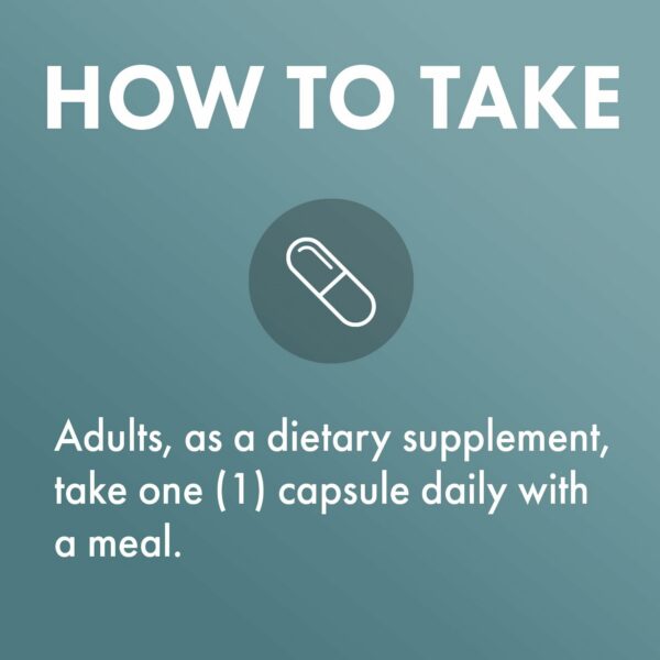 Version 1.0.0 Detalles de la etiqueta