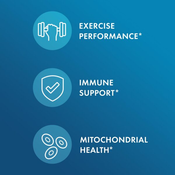 Version 1.0.0 Protección de seguridad en empaque