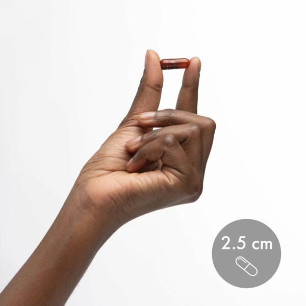 Lote y código en el envase