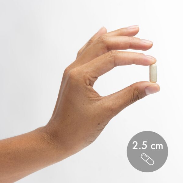 Version 1.0.0 Tapa del frasco Dr Mercola MSM Azufre Complejo