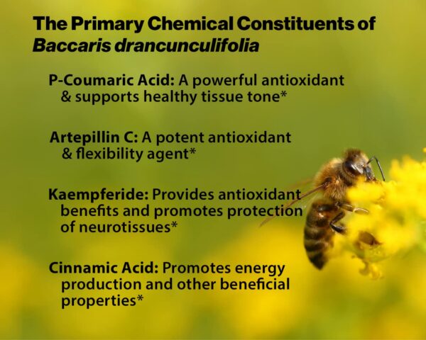 Envase de 120 cápsulas