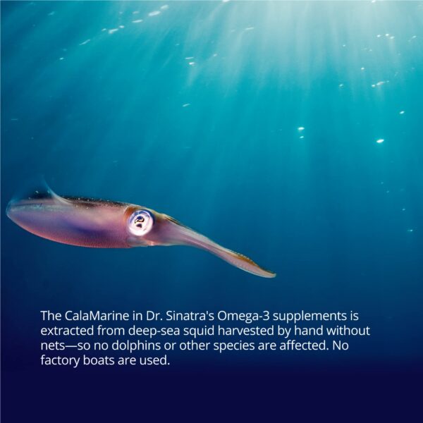 Notas de prueba de CalaMarine Omega-3