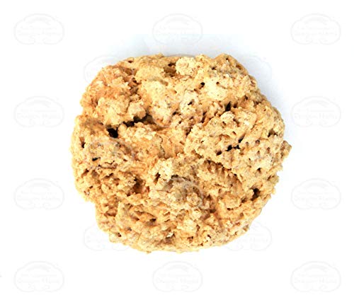 Version 1.0.0 Dragon Herbs cápsulas placenta cabra vista inferior del frasco