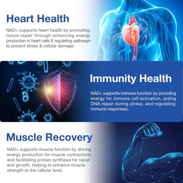 Presentación de la caja externa