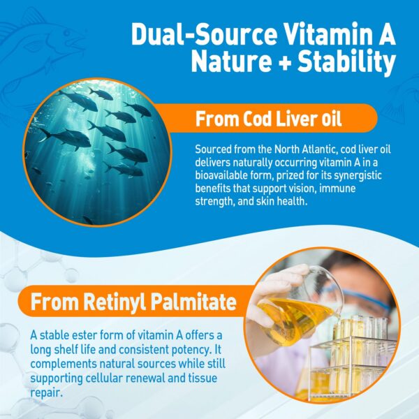 Presentación de 60 gomitas