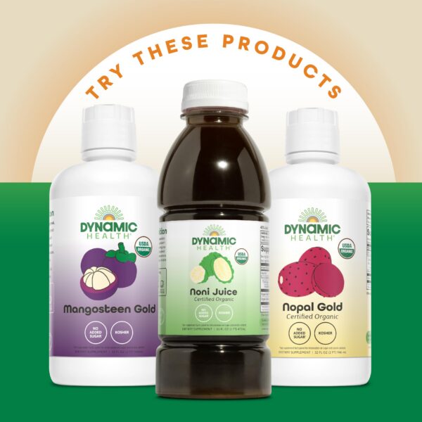 Conjunto de Dynamic Health Healthy Blend