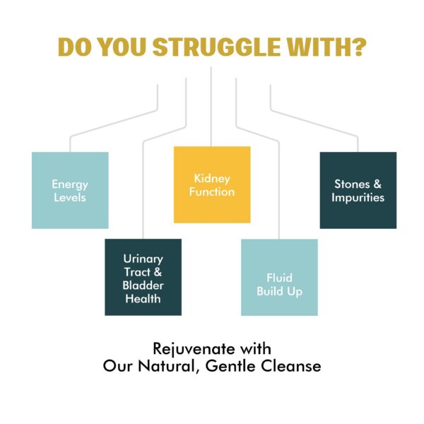 Easey Flow 4oz hierbas secas apoyo riñón y vejiga imagen 5