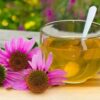 Echinacea purpurea enrollada lista para su consumo natural