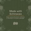 Version 1.0.0 Echinacea Supreme cápsulas veganas Gaia Herbs para salud inmunitaria