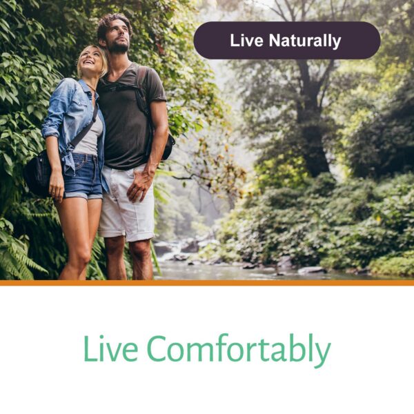 Lista de ingredientes sin gluten