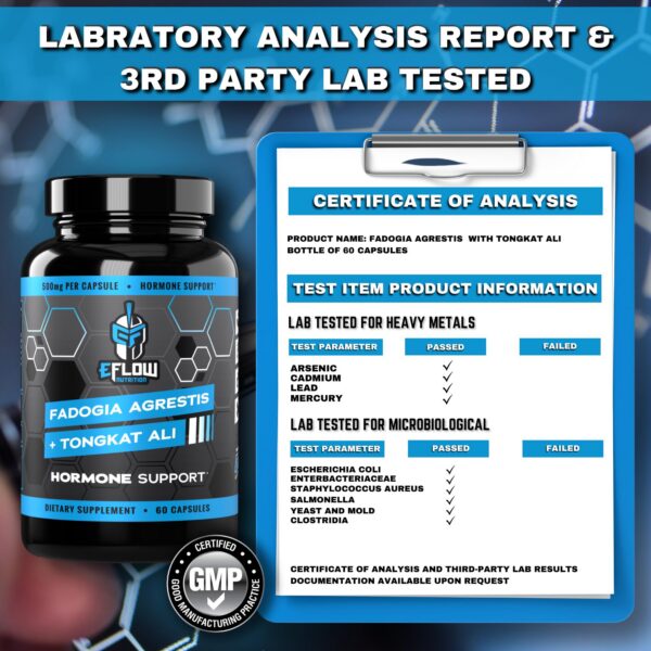 Envase GMP certificado