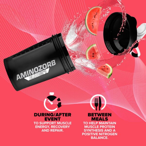 Version 1.0.0 GlutaZorb glutamina amortiguada