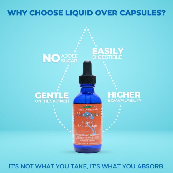 Version 1.0.0 Frasco de manganeso en caja