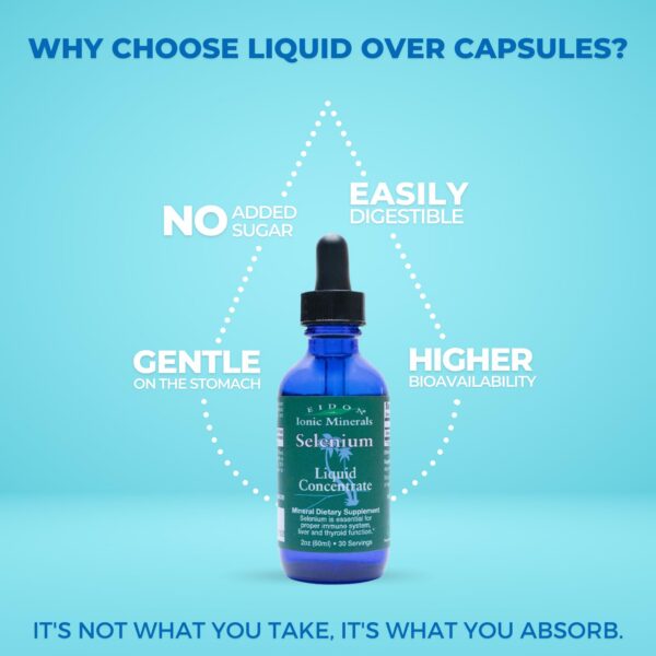 Version 1.0.0 Rótulo de ingredientes y formato