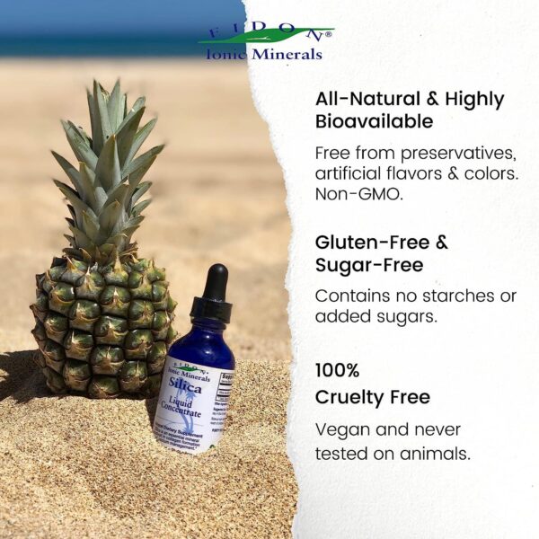 Caja de concentrado de sílice Eidon