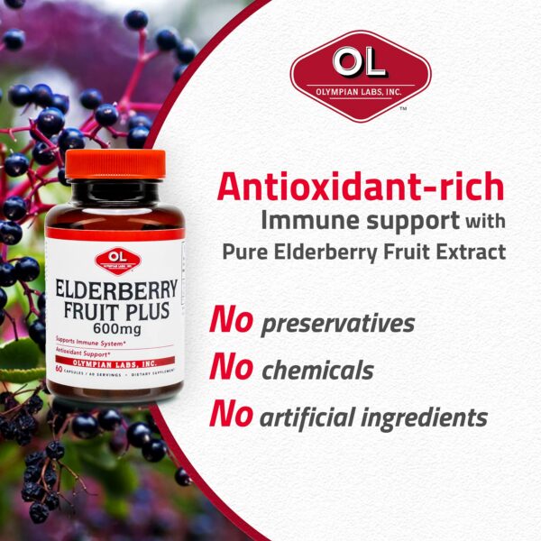 Elderberry Fruit Plus suplemento antioxidante para bienestar general