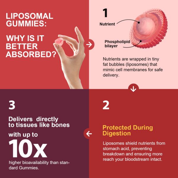 Detalle de ingredientes en la etiqueta