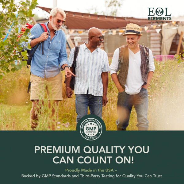 Vista superior de la caja Elements of LIfe