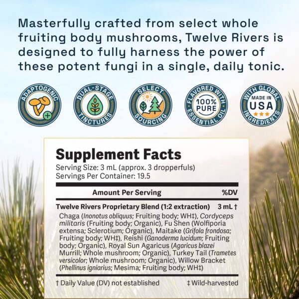 Elixir Medicinal de Hongos con Chaga y Reishi