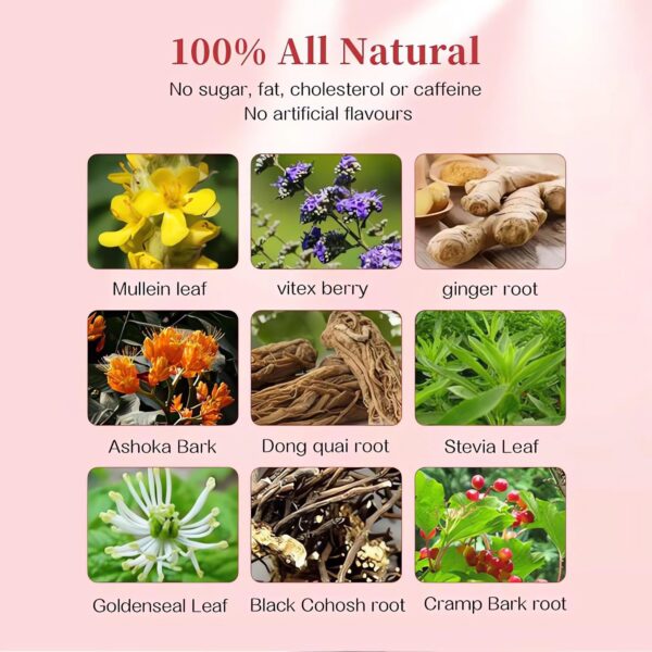 embalaje trasero té Wins Town para fibromas y bienestar femenino