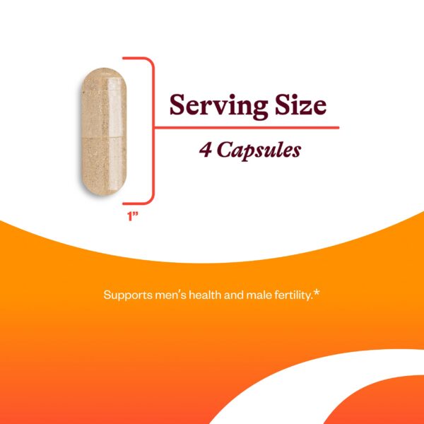 Frente de la caja con marca Seeking Health