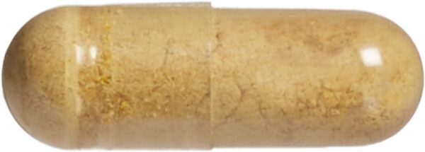 Empaque cápsulas cardo mariano HerbalFactors 90 unid