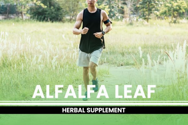 Empaque cápsulas hoja de alfalfa naturales PURE ORIGINAL INGREDIENTS