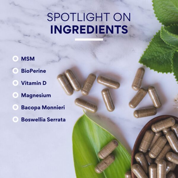 Caja/empacado de Research Verified Fibro Support