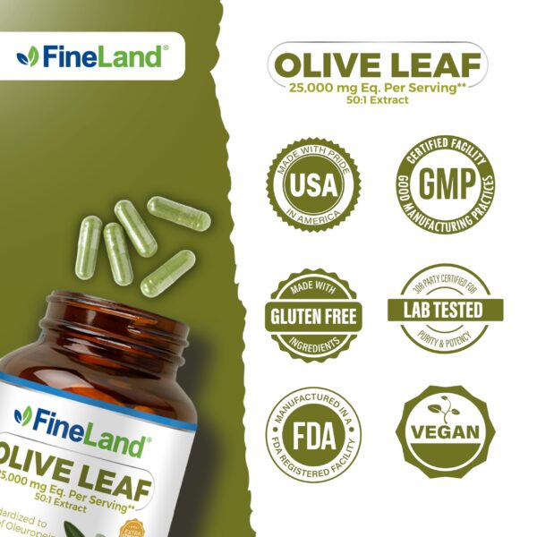 Empaque FineLand extracto hoja de olivo 160 cápsulas